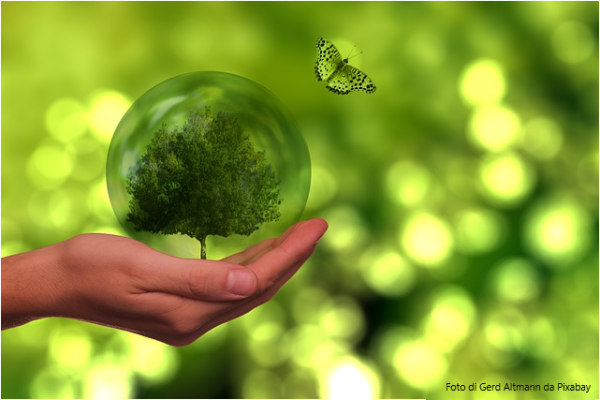 Foto di Gerd Altmann da Pixabay